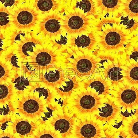 Meet your Posher, Bee - Picture 8 of 9